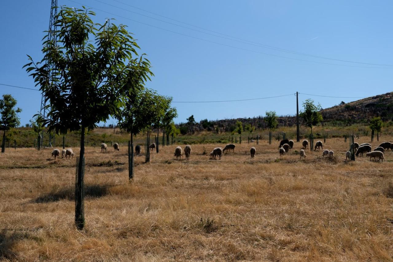 Quinta Do Chaozinho Villa Alijó Exterior foto