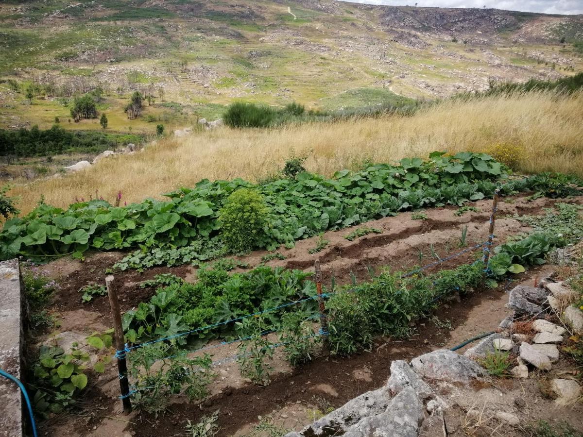 Quinta Do Chaozinho Villa Alijó Exterior foto